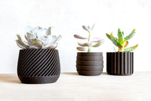 Load image into Gallery viewer, MADRID BLACK