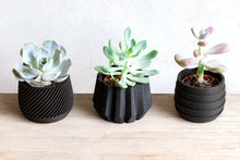 Upload image into Gallery viewer, Set of 3 - SPARTA MADRID FOULA