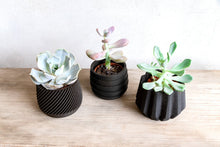 Upload image into Gallery viewer, Set of 3 - SPARTA MADRID FOULA