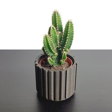 Load image into Gallery viewer, ATHENS