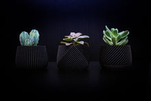 Upload image into Gallery viewer, Set of 3 - CANCUN LONDON MADRID