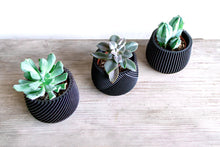 Upload image into Gallery viewer, Set of 3 - CANCUN LONDON MADRID