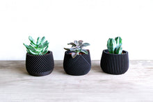 Upload image into Gallery viewer, Set of 3 - CANCUN LONDON MADRID