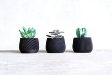 Upload image into Gallery viewer, Set of 3 - CANCUN LONDON MADRID