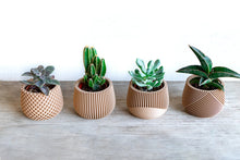 Load image into Gallery viewer, Set of 4 - BELIZE CANCUN SAMANA' LONDON