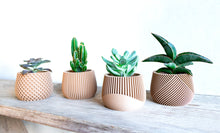 Load image into Gallery viewer, Set of 4 - BELIZE CANCUN SAMANA' LONDON