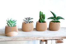 Load image into Gallery viewer, Set of 4 - BELIZE CANCUN SAMANA' LONDON