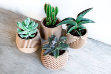 Load image into Gallery viewer, Set of 4 - BELIZE CANCUN SAMANA' LONDON