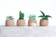 Load image into Gallery viewer, Set of 4 - BELIZE CANCUN SAMANA' LONDON