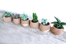 Load image into Gallery viewer, Set of 6 - BELIZE CANCUN SAMANA' LONDON DELHI AVANA