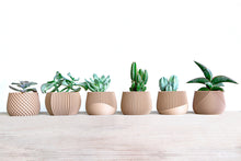 Load image into Gallery viewer, Set of 6 - BELIZE CANCUN SAMANA' LONDON DELHI AVANA