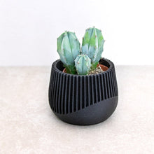 Load image into Gallery viewer, SAMANA' BLACK