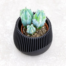 Load image into Gallery viewer, SAMANA' BLACK