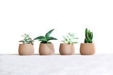 Upload image into Gallery viewer, Set of 4 - BELIZE CANCUN OSAKA LONDON