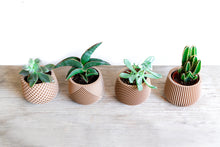 Upload image into Gallery viewer, Set of 4 - BELIZE CANCUN OSAKA LONDON