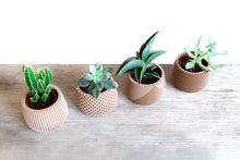 Upload image into Gallery viewer, Set of 4 - BELIZE CANCUN OSAKA LONDON