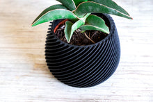 Load image into Gallery viewer, OSAKA BLACK