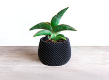 Load image into Gallery viewer, OSAKA BLACK