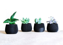 Load image into Gallery viewer, OSAKA BLACK