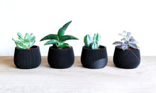 Load image into Gallery viewer, Set of 4 - SAMANA' CANCUN OSAKA LONDON