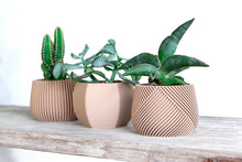 Load the image into the Gallery viewer, CANCUN