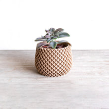 Load image into Gallery viewer, BELIZE