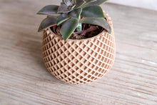 Load image into Gallery viewer, BELIZE