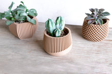 Load image into Gallery viewer, AVANA