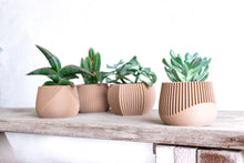 Upload image into Gallery viewer, SAMANA'