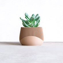 Upload image into Gallery viewer, SAMANA'