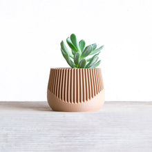 Upload image into Gallery viewer, SAMANA'