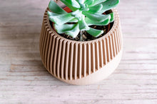 Upload image into Gallery viewer, SAMANA'