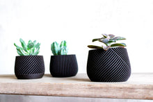 Upload image into Gallery viewer, Set of 3 - CANCUN LONDON MADRID