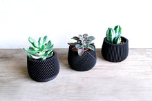 Upload image into Gallery viewer, Set of 3 - CANCUN LONDON MADRID