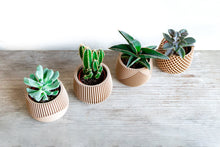 Load image into Gallery viewer, Set of 4 - BELIZE CANCUN SAMANA' LONDON