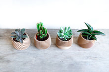 Load image into Gallery viewer, Set of 4 - BELIZE CANCUN SAMANA' LONDON