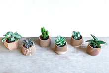 Load image into Gallery viewer, Set of 6 - BELIZE CANCUN SAMANA' LONDON DELHI AVANA