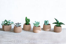 Load image into Gallery viewer, Set of 6 - BELIZE CANCUN SAMANA' LONDON DELHI AVANA