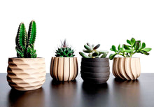 Load the image into the Gallery Viewer, OXNA