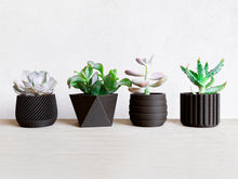 Load image into Gallery viewer, FOULA