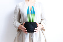 Load image into Gallery viewer, CANCUN LARGE