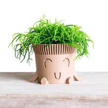 Load image into Gallery viewer, Mr. POT RELAXED