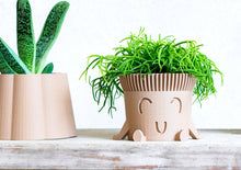 Load image into Gallery viewer, Mr. POT RELAXED