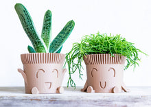 Load image into Gallery viewer, Mr. POT RELAXED