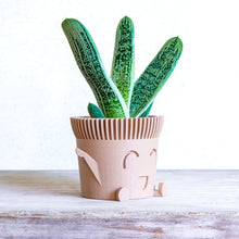 Upload image into Gallery viewer, Mr. HAPPY POT