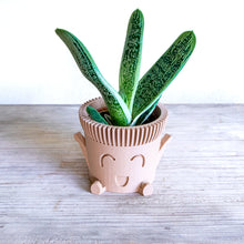 Upload image into Gallery viewer, Mr. HAPPY POT