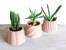 Load the image into the Gallery viewer, DAVAO