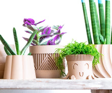 Carica l'immagine nel visualizzatore di Gallery, MERIDA