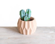 Upload image into Gallery viewer, DUBAI