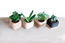 Upload image into Gallery viewer, Set of 4 - CORINTO STOCCOLMA KYOTO PARIS